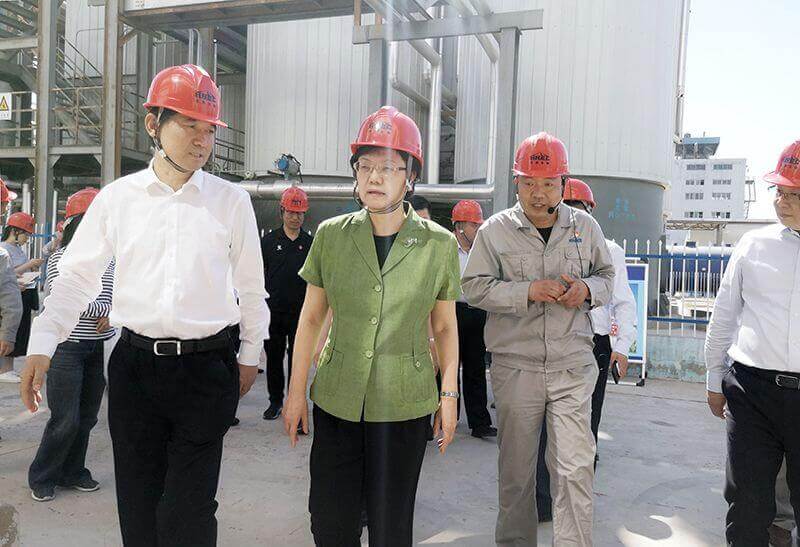 2019年5月23日，全国政协副主席李斌（左二）到尊时凯龙Z6调研