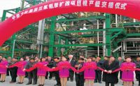 2000-2005年，采用意大利欧技工艺技术，相继建成了三套三聚氰胺生产装置，年产能5.4万吨